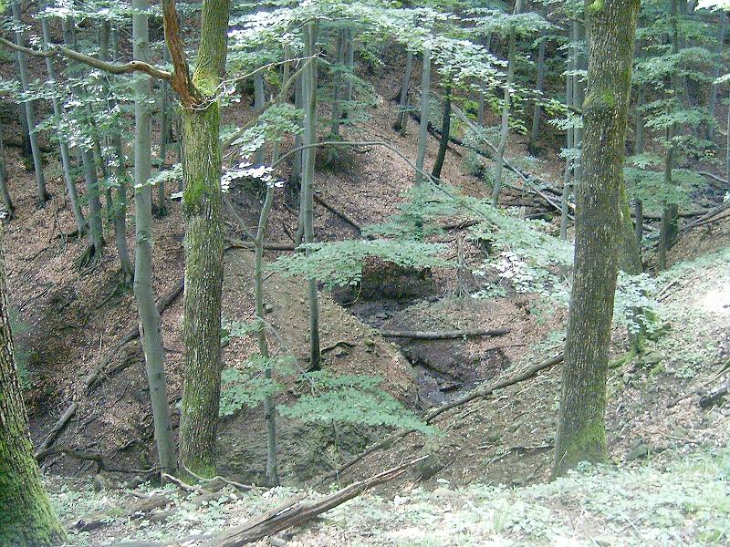 20100814 044.jpg